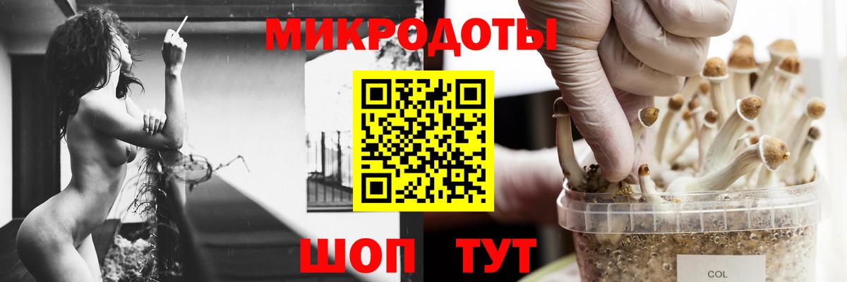 Галлюциногенные грибы прущие грибы  Вход с VPN  Железноводск 
