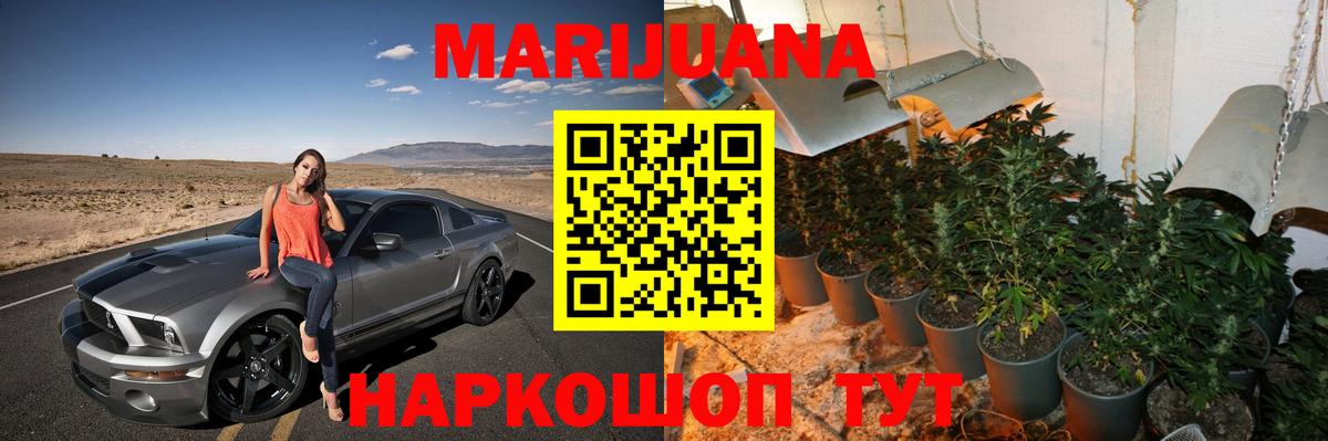 Канабис сатива Железноводск